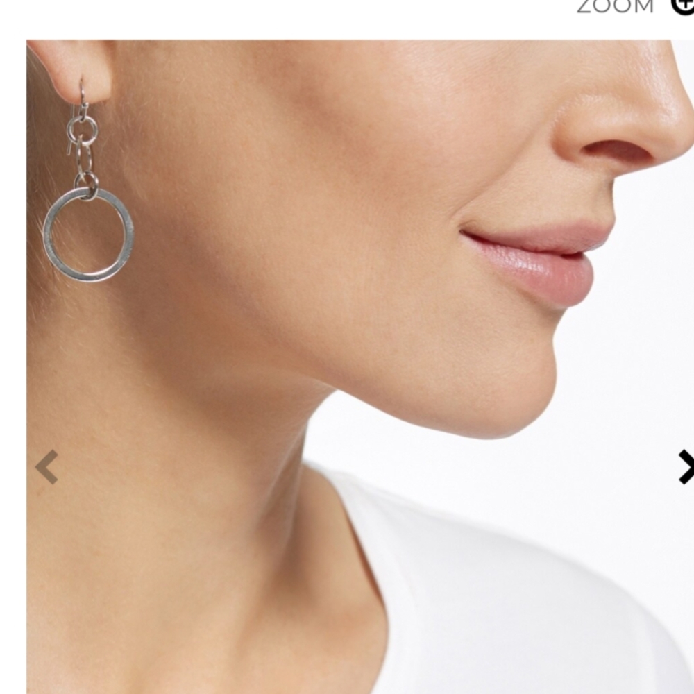 Chico's Rudy Gold Tone Double Circle Earrings